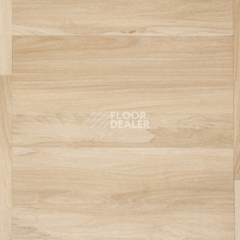 IVC Parquetry IVC Marsh Wood 22220 фото 8 | FLOORDEALER